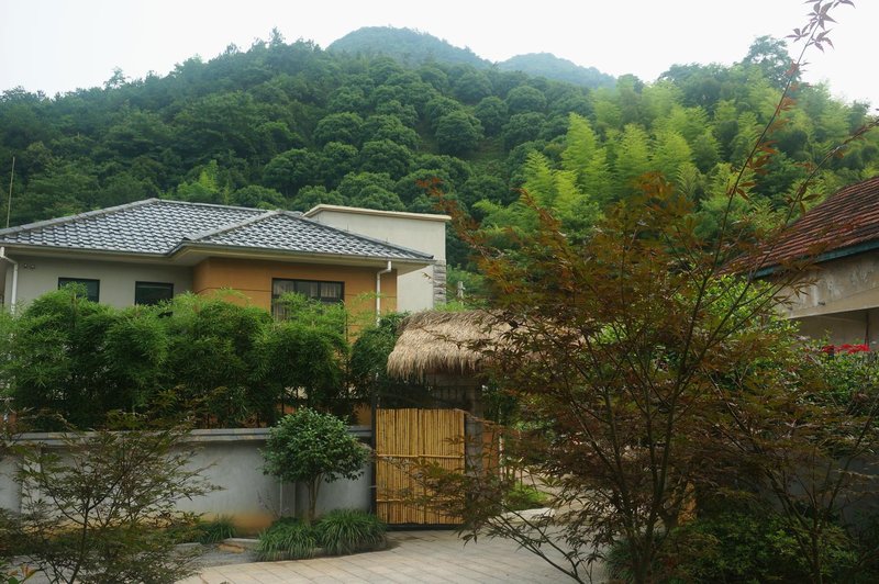 The red tree villa Over view