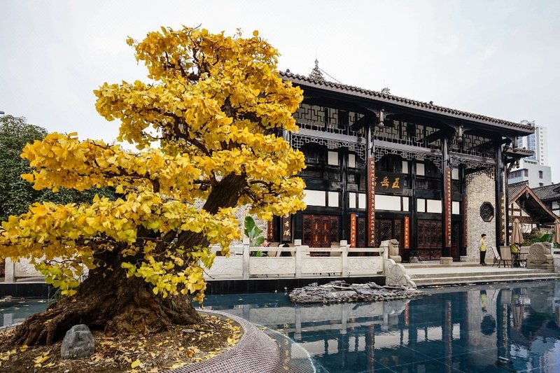 Chengdu Courtyard HotelOver view