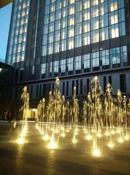 hangzhouyijujingpingongyujiudian Over view