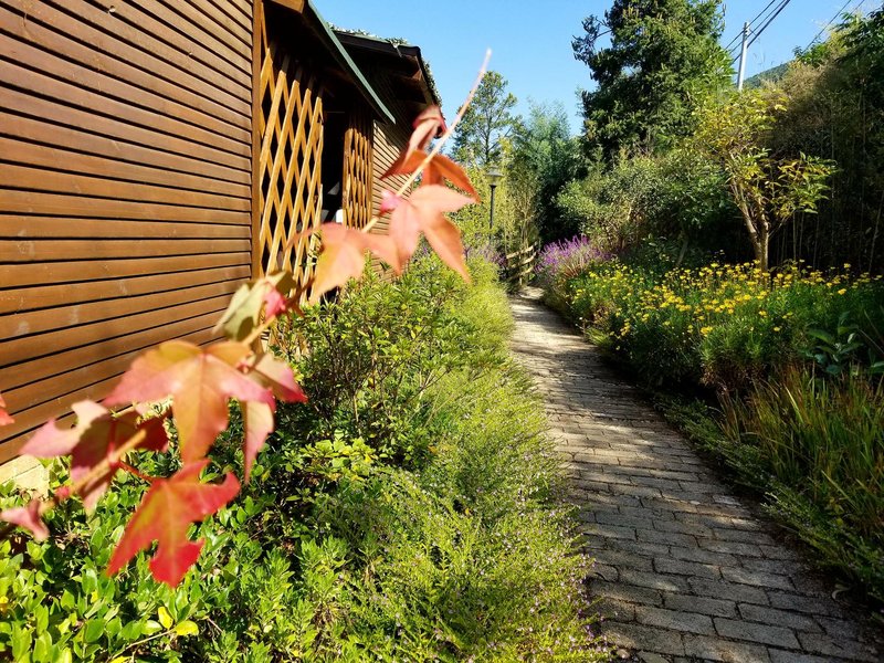 Fuxian  lake SenHai Jinguo Manor Over view