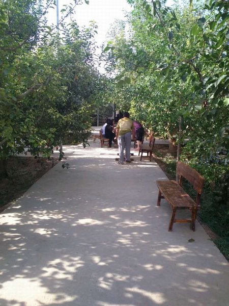 nongfushanzhuangOther