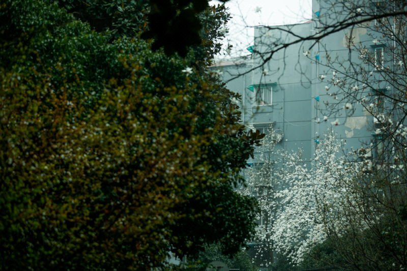 Xi iHometelOver view