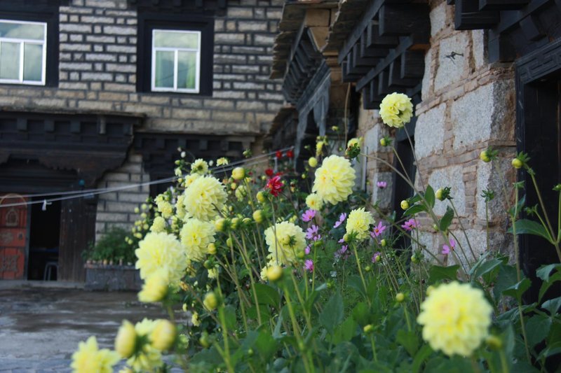 Daocheng Fanhegu Hostel Over view