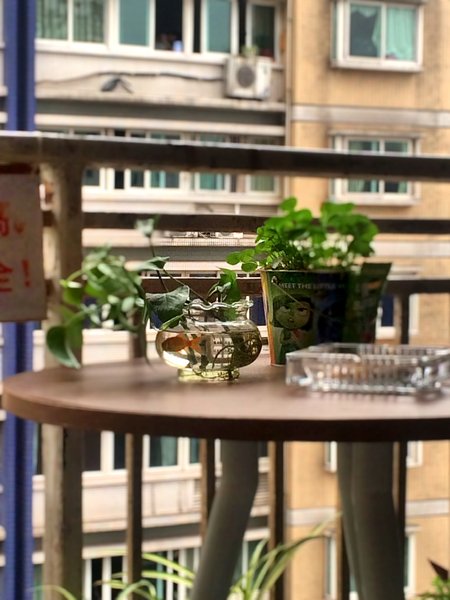 Red Star Hostel Over view