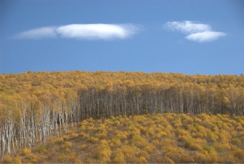 bajunma 酒店外观