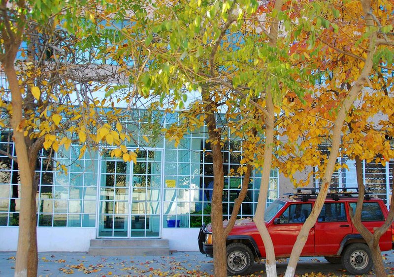 Dunhuang International Youth Hostel Over view