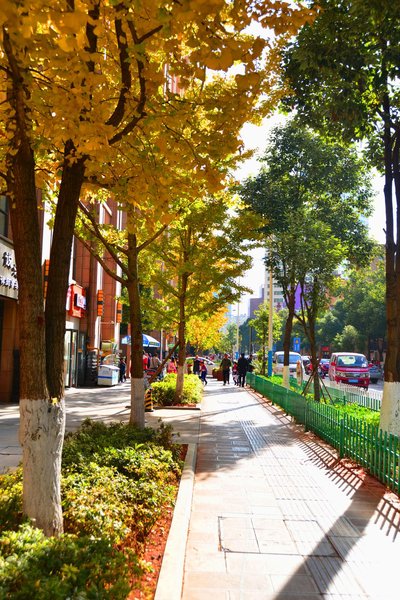 Yuanbaobao Theme Apartment Hotel Over view