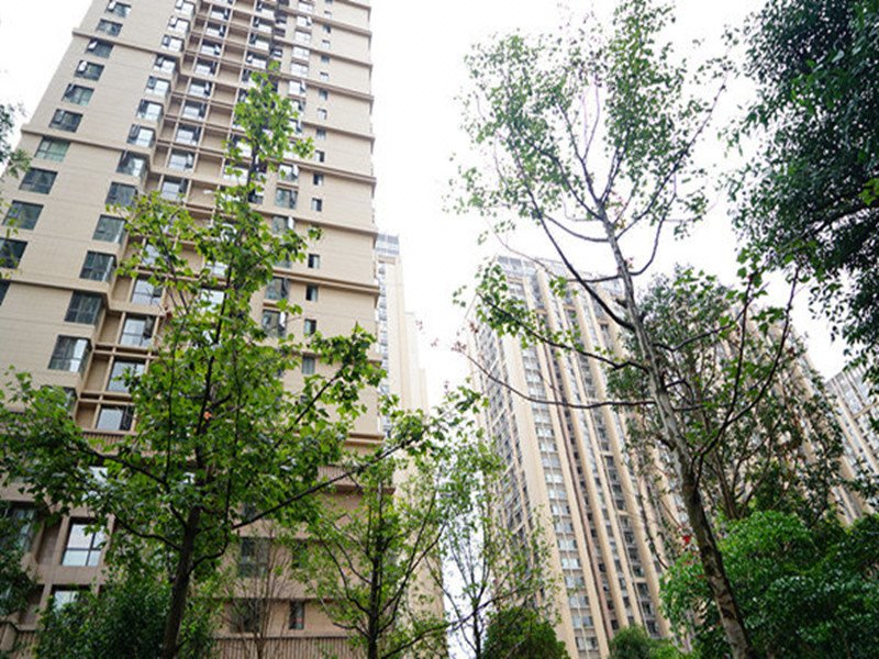 Yuanbaobao Theme Apartment Hotel Over view