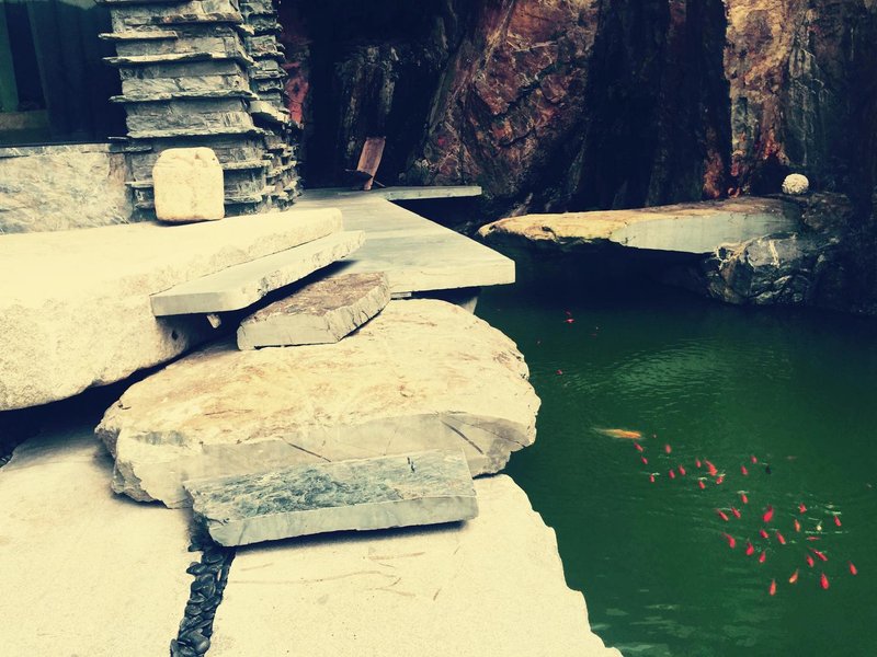 SPRING WATER ABODE Over view