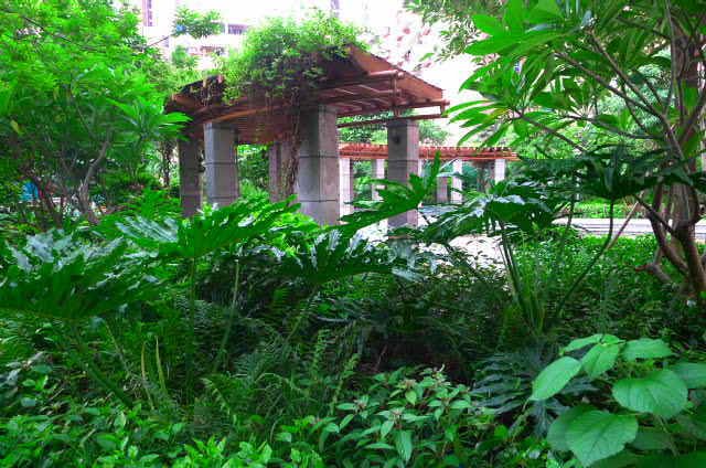 U Hotel Apartment RuiAn Branch 酒店外观