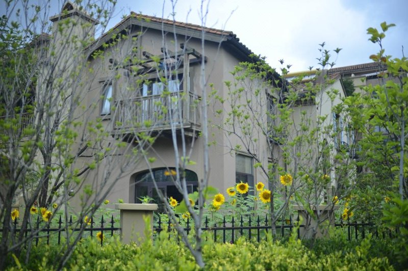 THE ARTISAN COTTAGE Over view