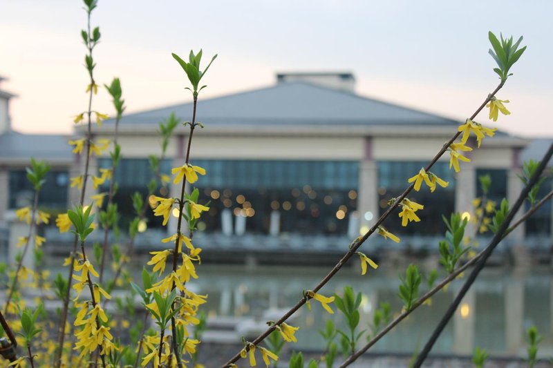 Haibo Resort Over view