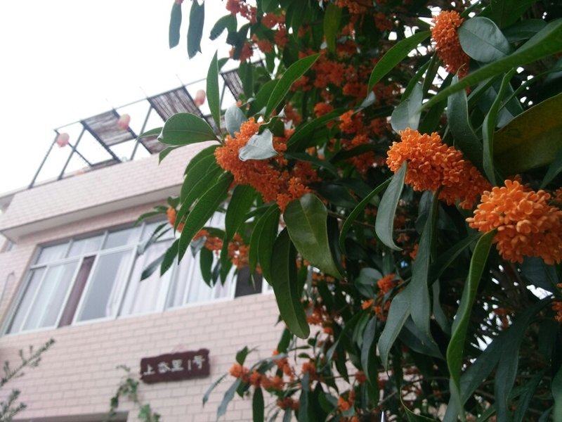 QingxiaJu HomestayOver view