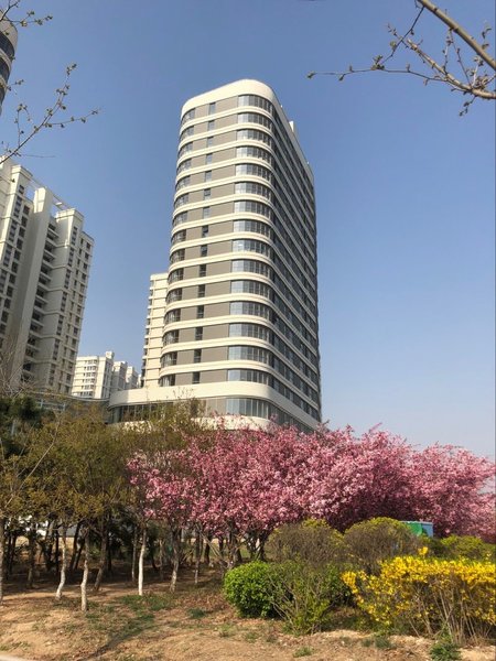 外觀