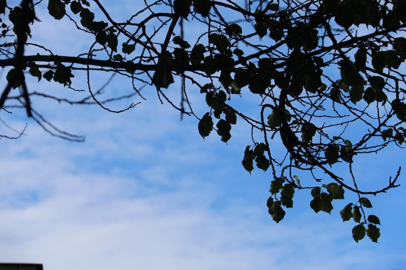 dunhuangyueyaxiaoshe Over view