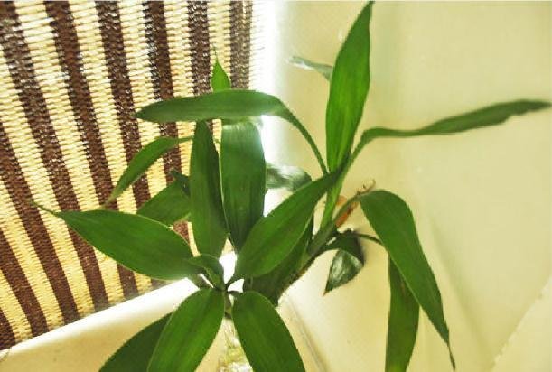 37YouthHotelHotel public area