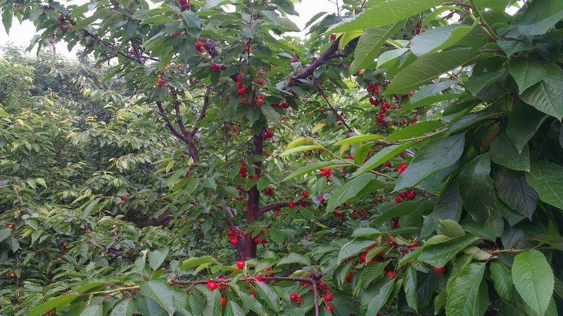 Meng Guiqin HotelOther