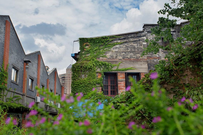 Soho International Youth Hostel Shanghai Over view