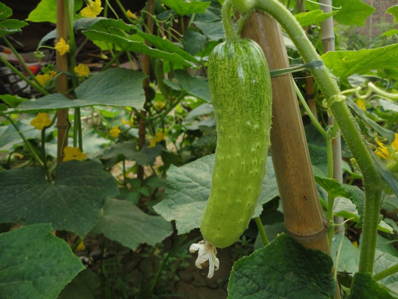 Meng Guiqin HotelOther