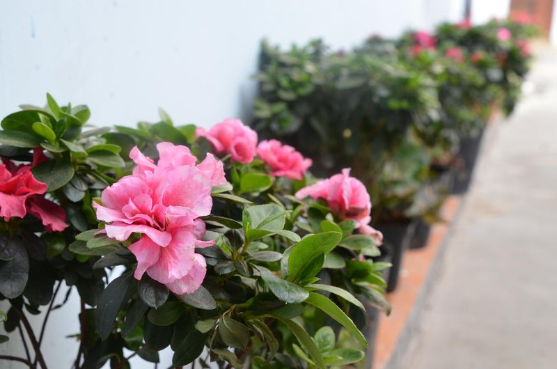 Happiness HotelHotel public area