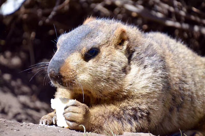 Happiness HotelOther