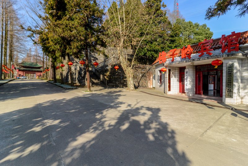 foziling hotelOver view