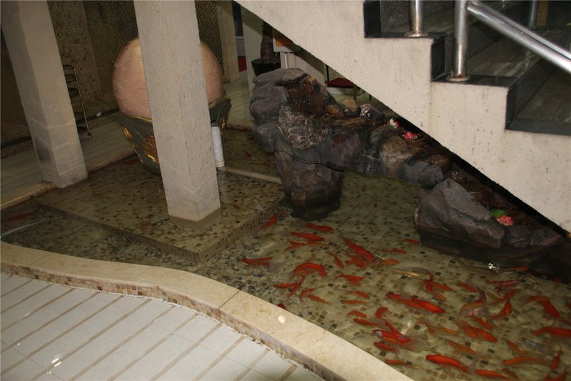 Longquan Traders Hotel休闲