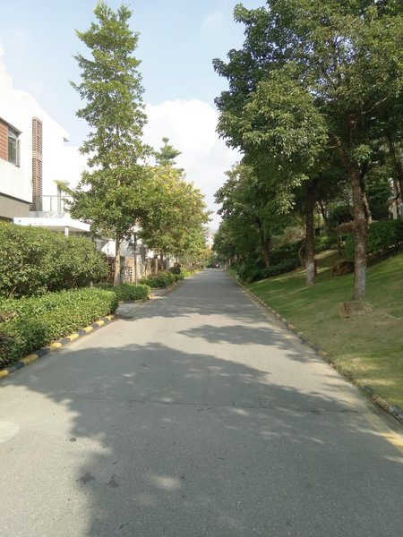 520 Apartment Hostel Over view