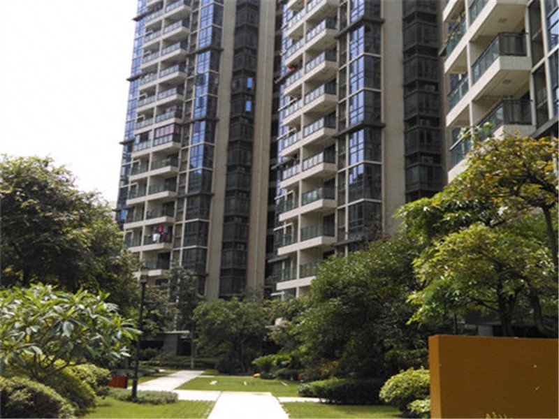 520 Apartment Hostel Over view