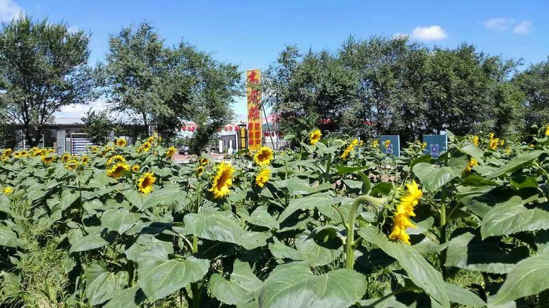 gaolaozhuang 酒店外观