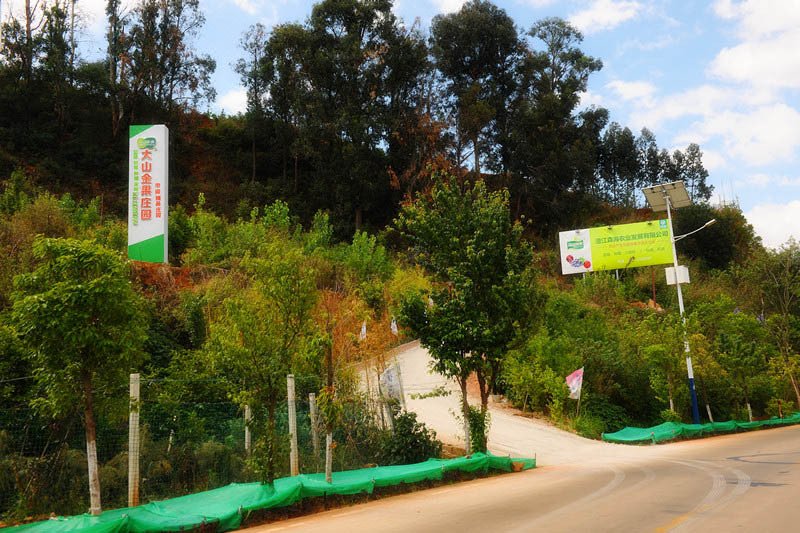 Fuxian  lake SenHai Jinguo Manor Over view