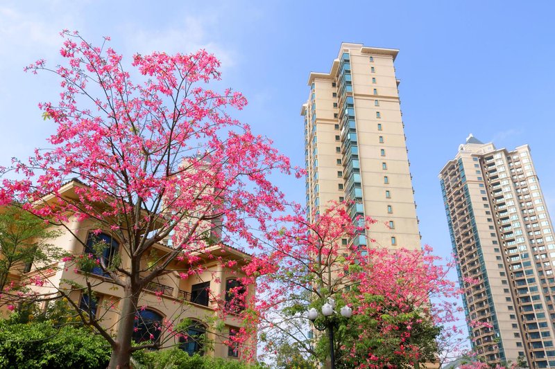 hugoholidayinn Over view