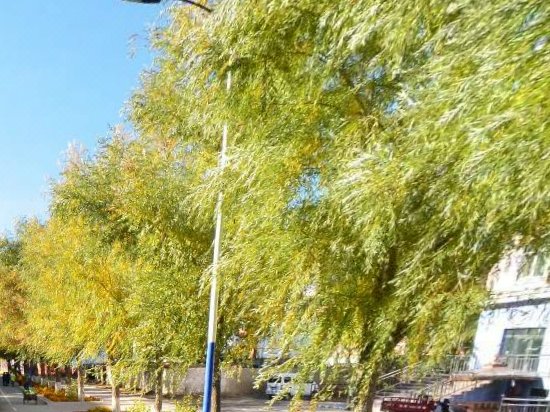 Swan Hotel周边景点