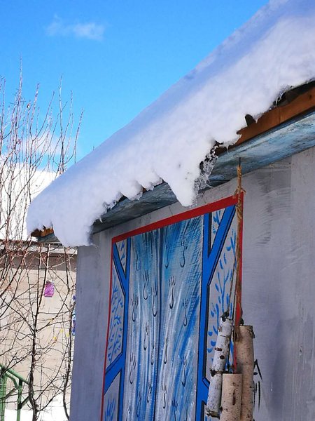 shenglinyuanzi Over view