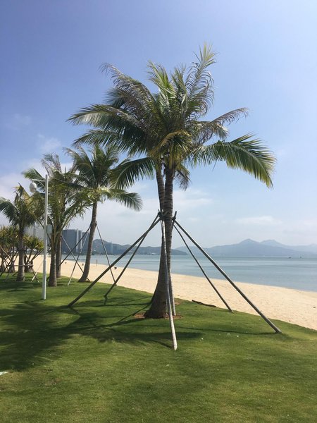 Diamond Seaview hostelOver view