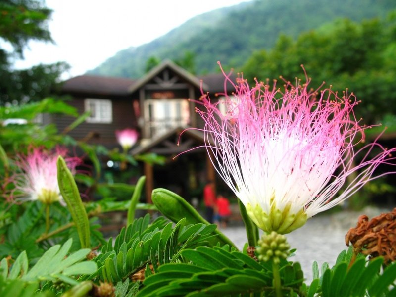 Meilun Mountain Spa Mountain Retreat 酒店外观