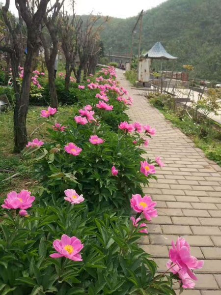 Tianyuan Muge Resort (Villa A) Over view