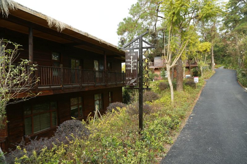Basha Original Luxury Resort Over view