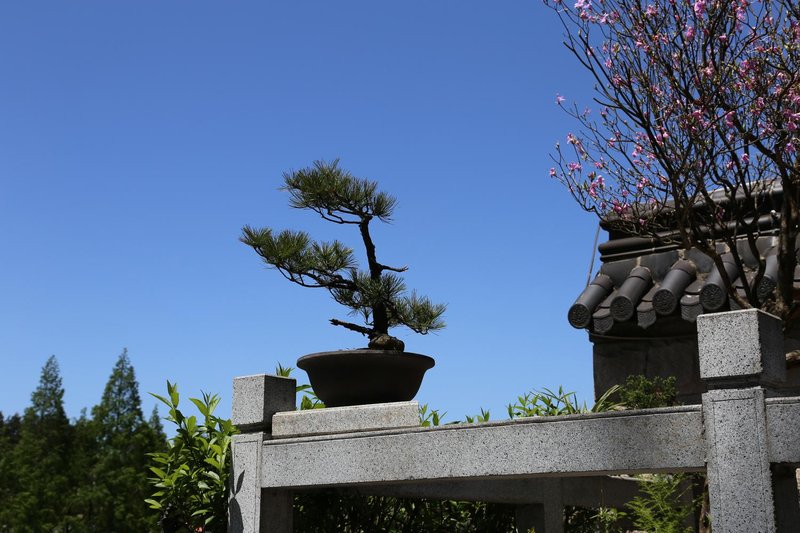 Taibailou Shanzhuang HotelOver view