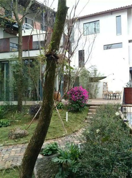 Colorful Nakong HostelOver view