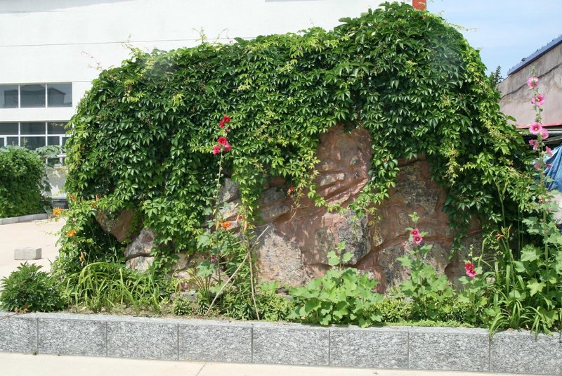 XinBaoBusinessHotel 酒店外观