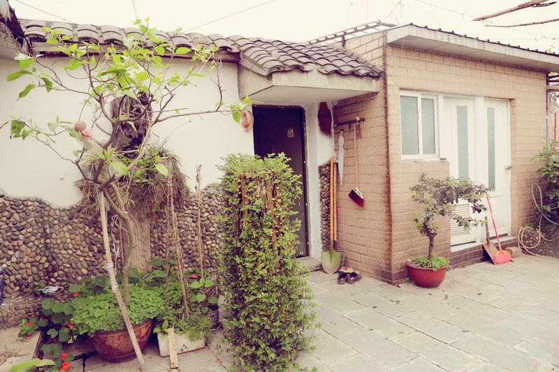 The Summer Day Over view