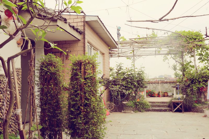 The Summer Day 休闲