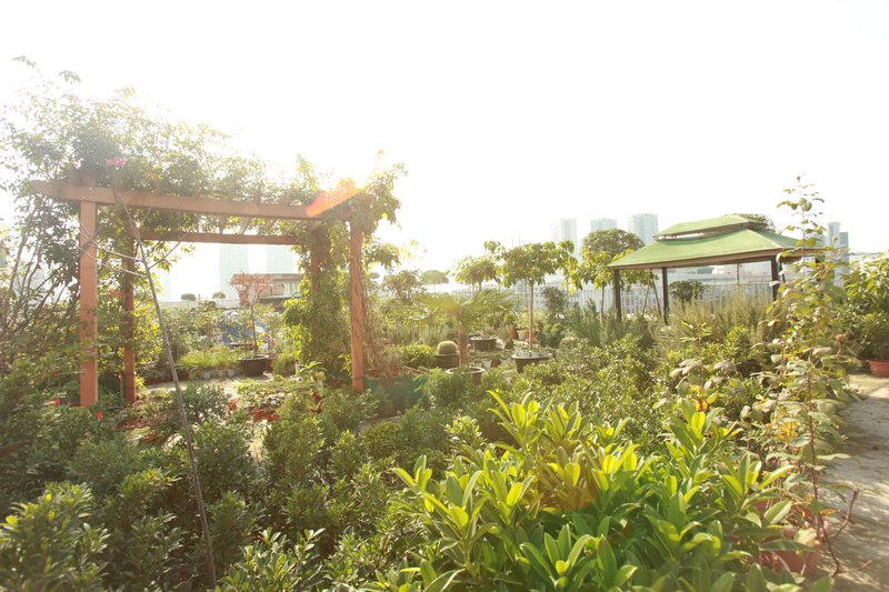 A proud leisure LOVE apartmentOver view