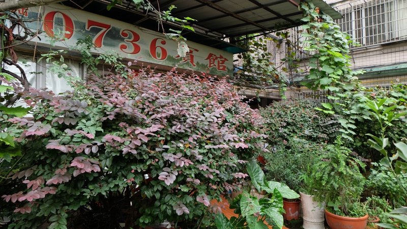 0736 Hotel Over view