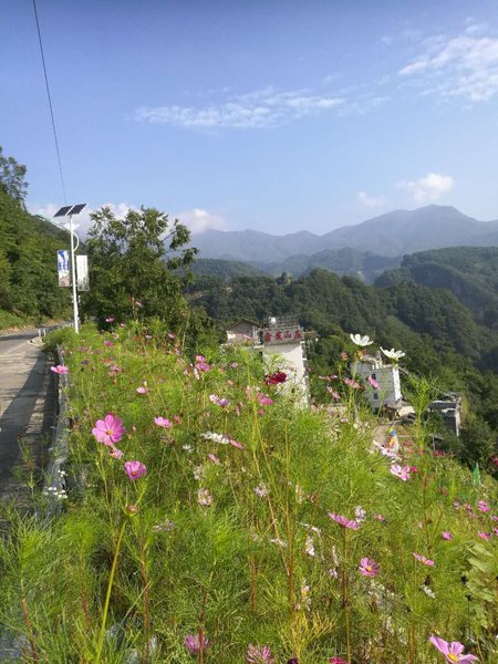 Shennongjia Xinfa HotelOver view