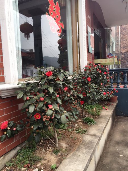 Zhuyun VillaOver view