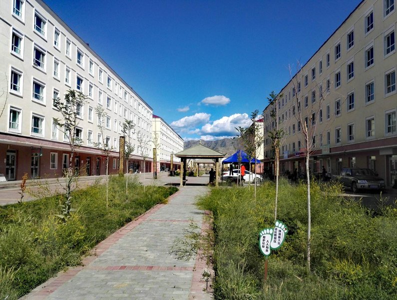 KKTHHSDJGY Over view