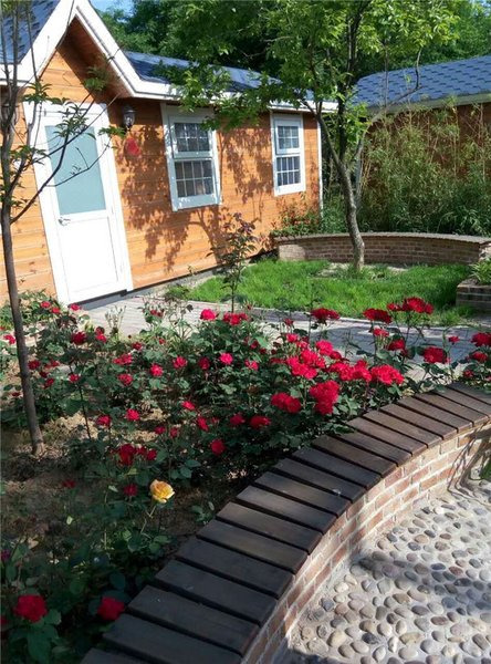 begonia town Guest Room