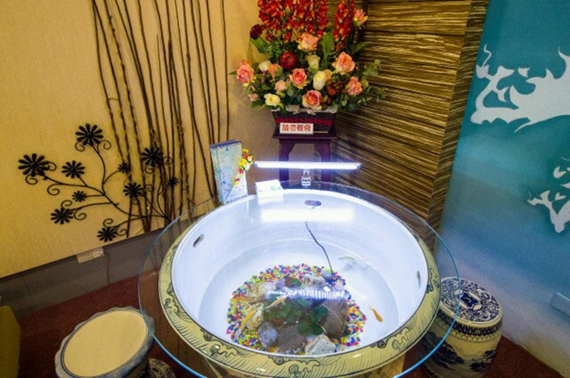 Spring Hostelry 酒店外观